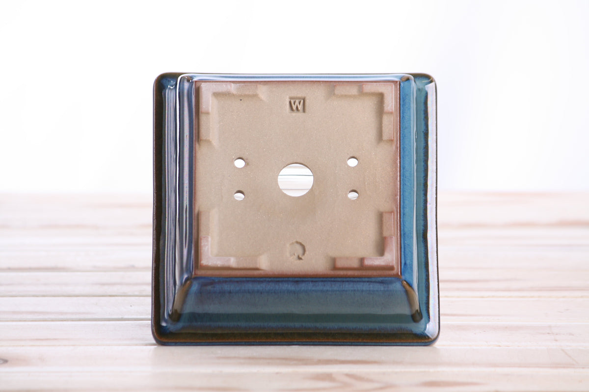 Square ceramic bonsai pot 5.5 inch Peacock 2025 — view 6