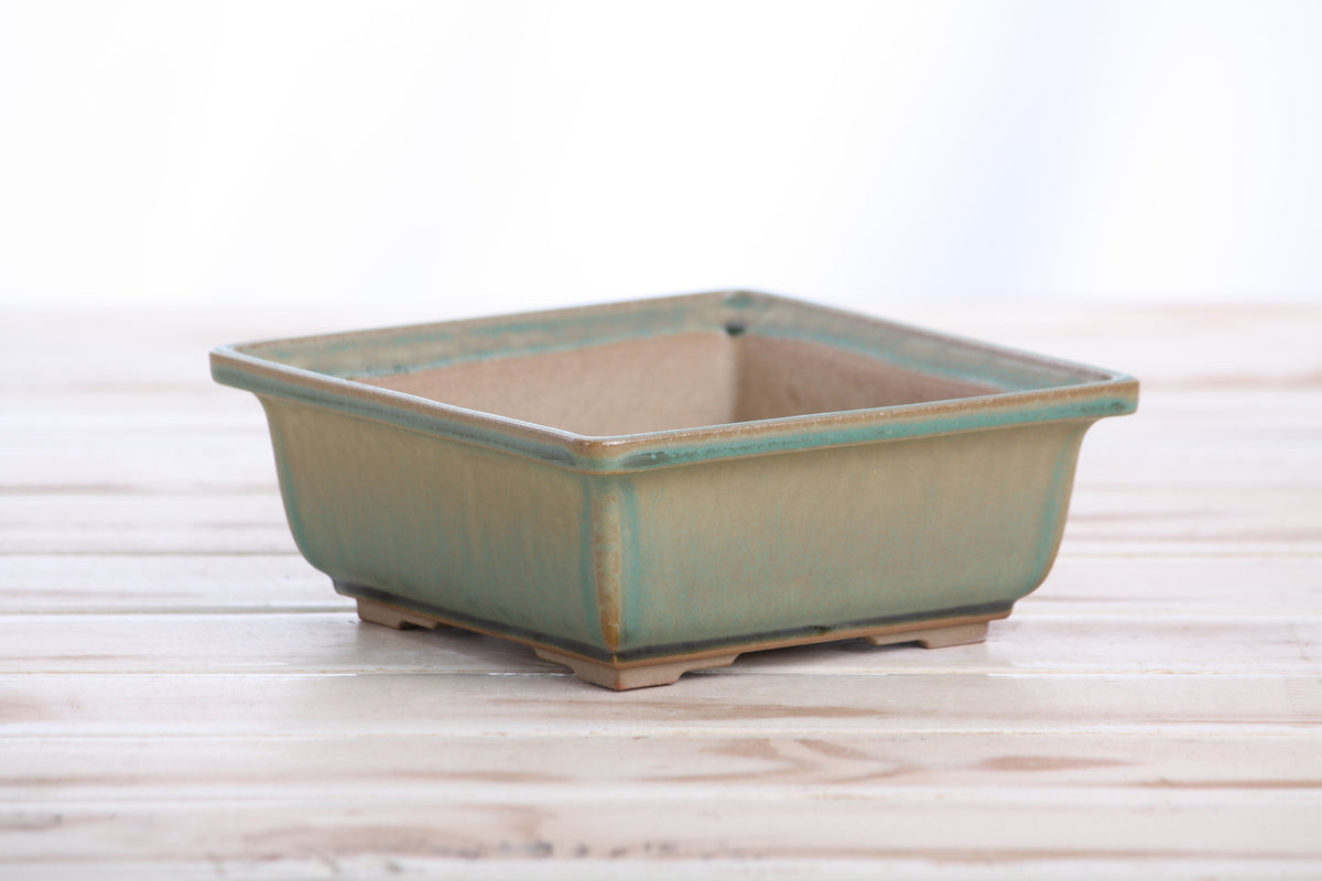 Square ceramic bonsai pot 5.5 inch Speckled Moss — view 3
