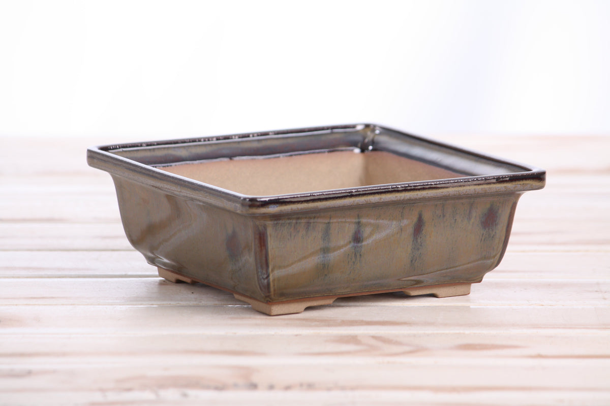 Square ceramic bonsai pot 6 inch Dark Honey — view 3