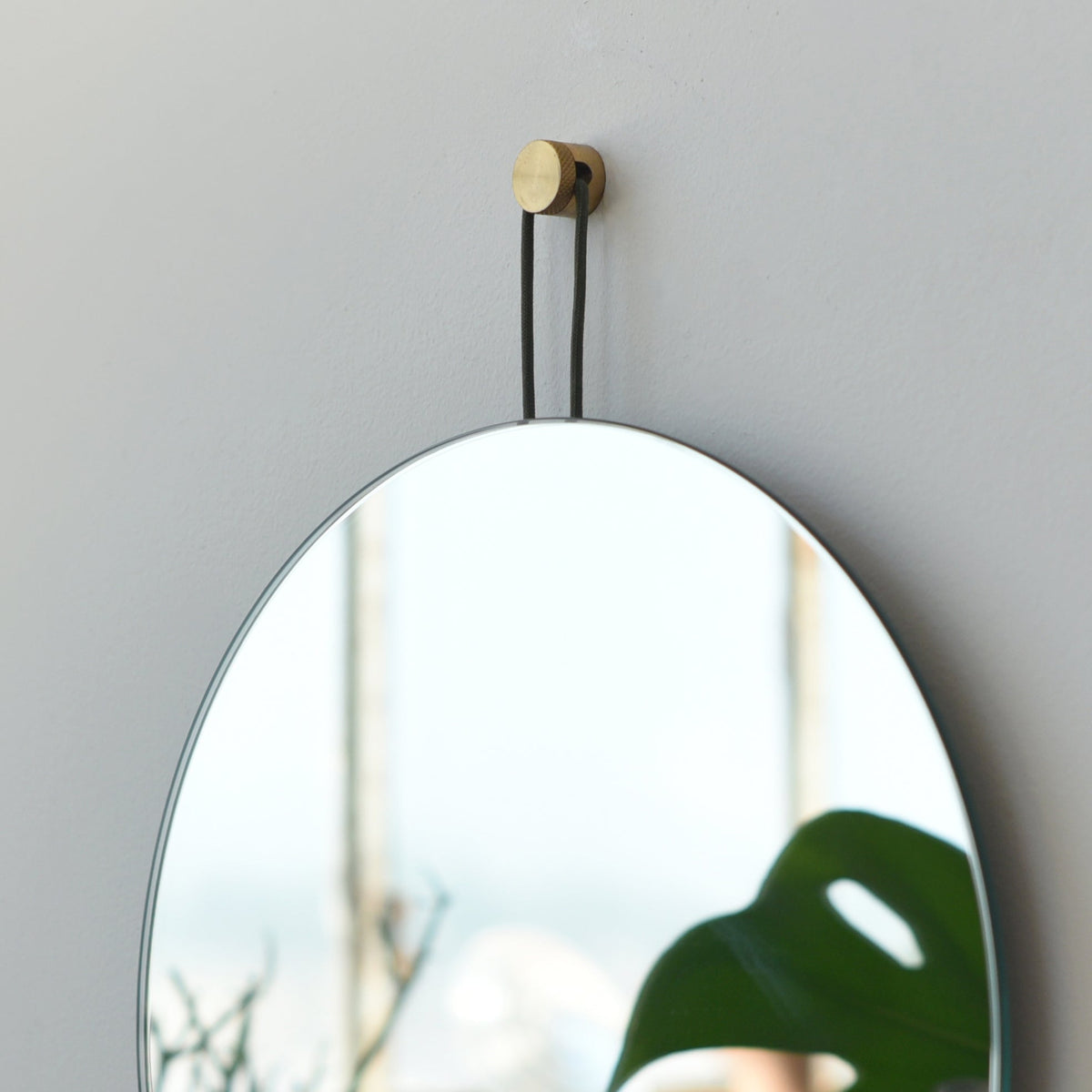 Round mirror with brass and black metal hook, on plain wall with plant reflection