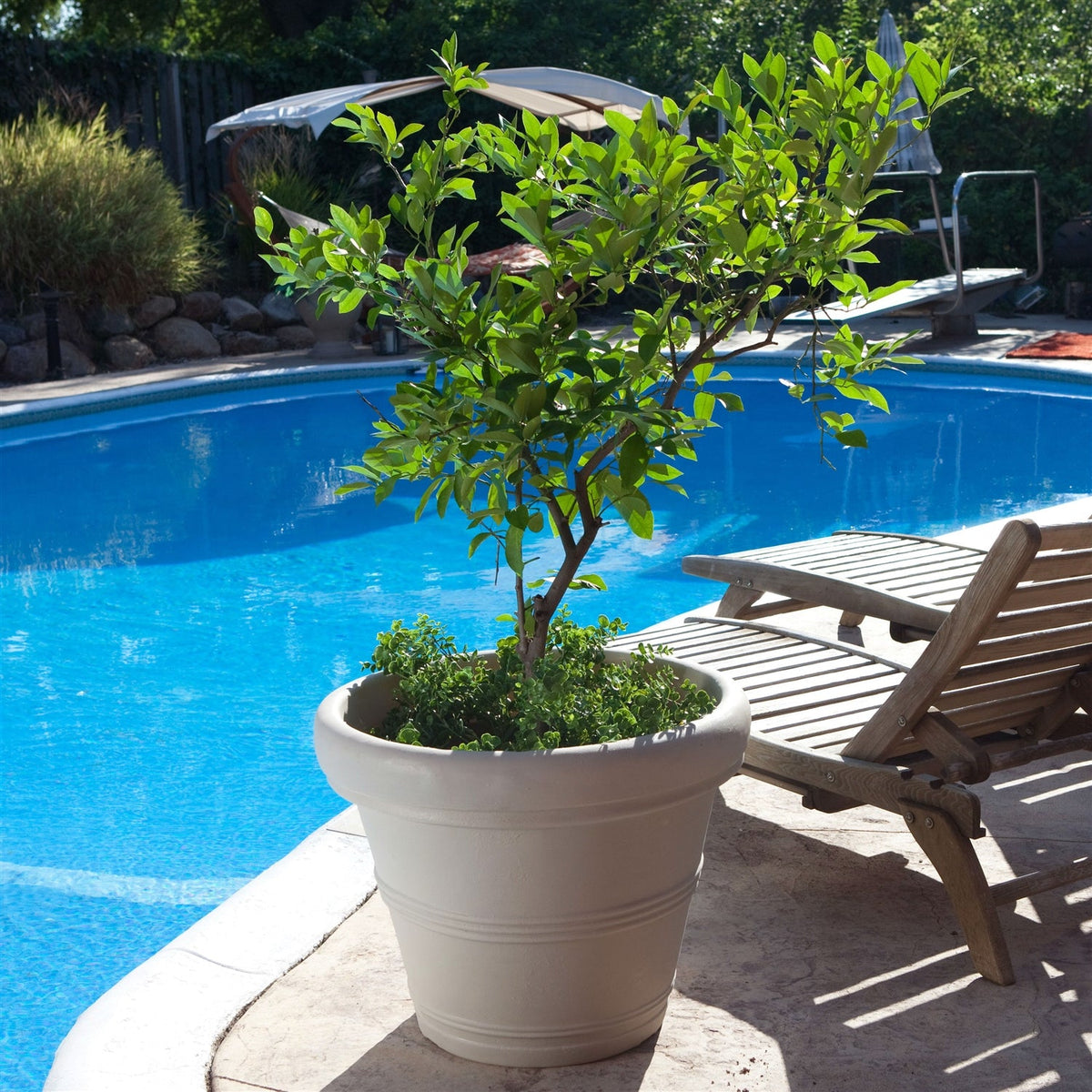 Round 26-inch Outdoor Patio Planter for Small Tree in Weathered Concrete Finish — view 2