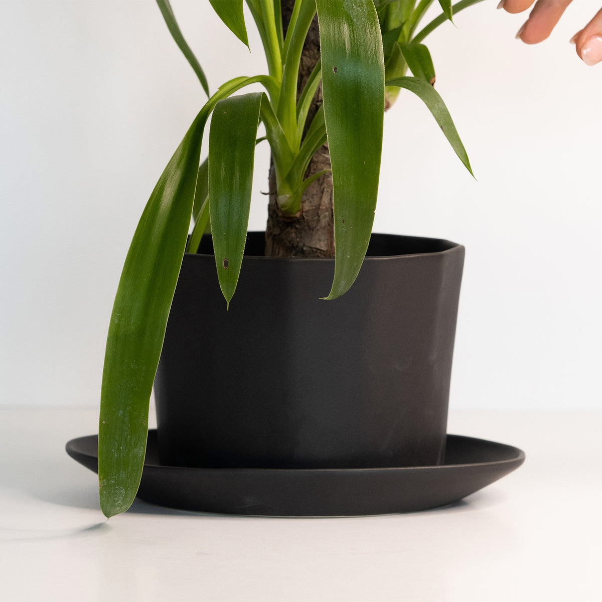 Geometric Oval Handmade Porcelain Planter — view 4