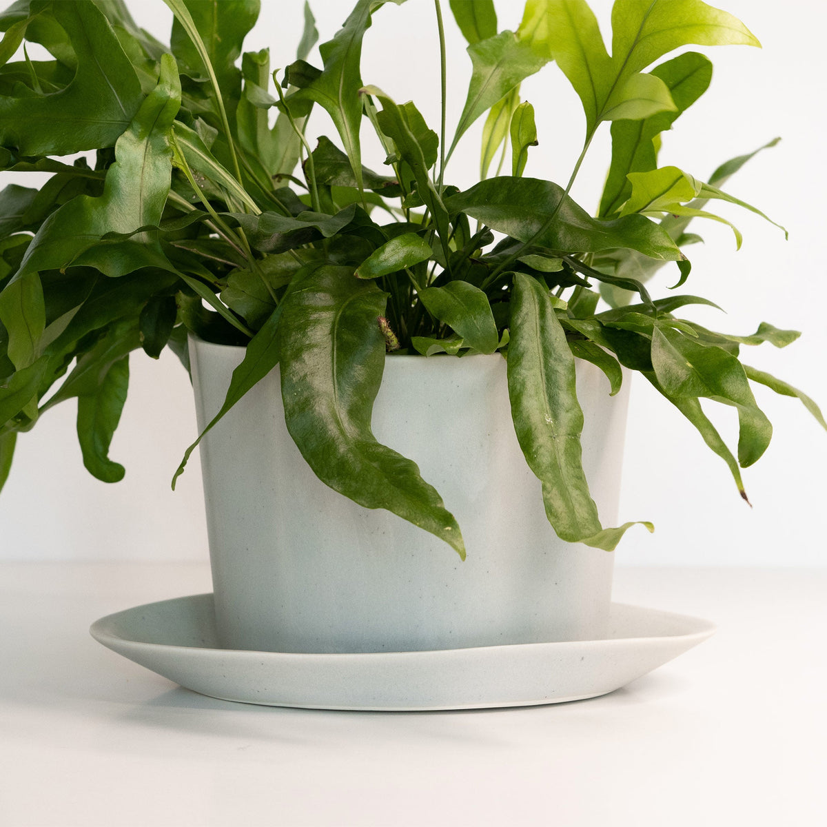 Geometric Oval Handmade Porcelain Planter — view 5