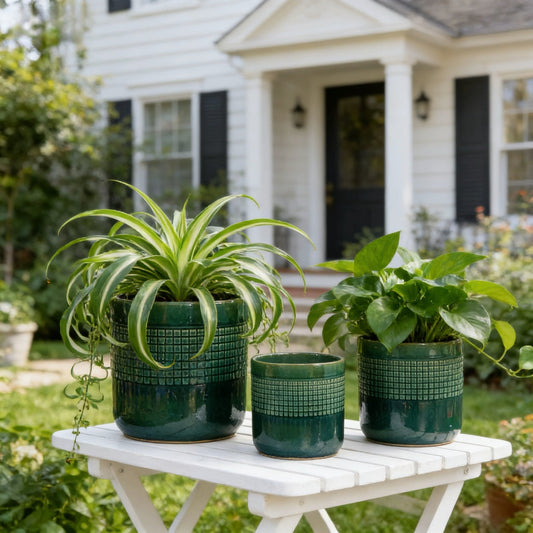 Handmade garden pots with green plants in front of a white house.