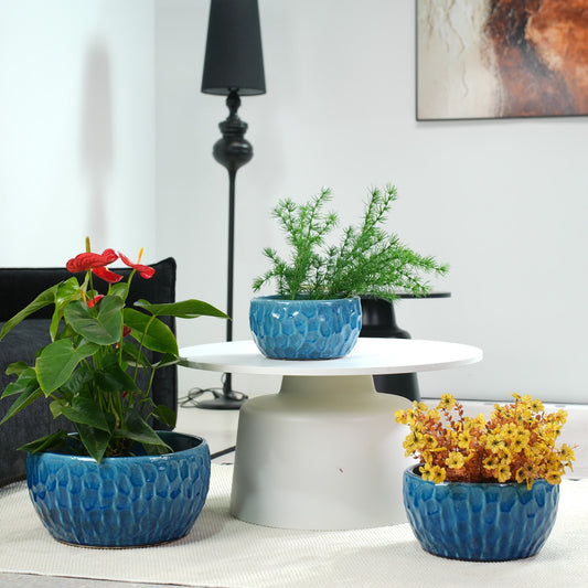 Blue ceramic planters in 3 sizes on a table with indoor plants and decor in the background