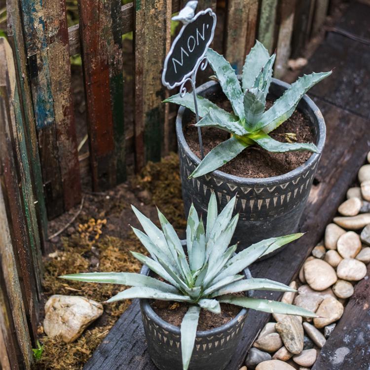 Black Pottery Cement Planter — view 5