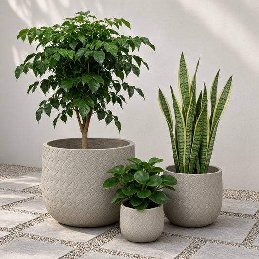 Three different-sized magnesia oxide round planters in a textured beige finish with plants inside, placed on a tiled patio with pebbles.