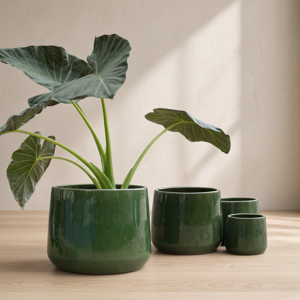 ShopInFill staged scene — handmade-solid-glazed-ceramic-planter-set-of-4