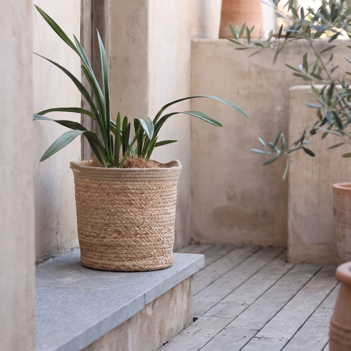 Natural Cylinder Storage and Planter Basket