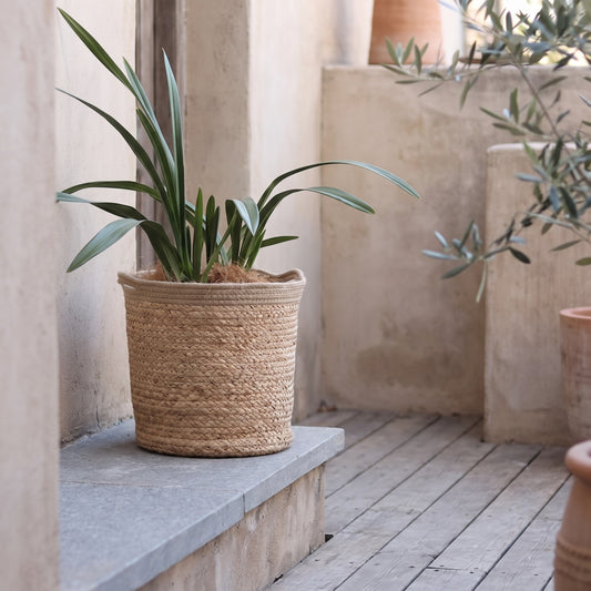 Natural jute storage basket with a plant on a stone ledge in an outdoor setting, featuring neutral tones and rustic texture.