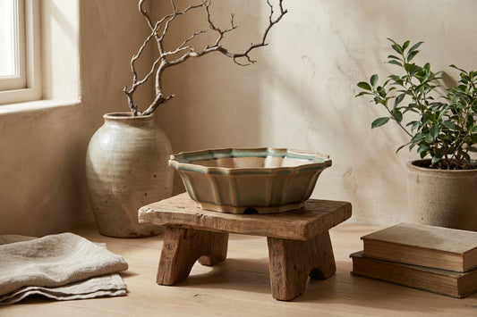 A ceramic bonsai pot on a wooden stand, Speckled Moss, 10 inch, placed in a minimalist interior with wooden floor and other potted plants.