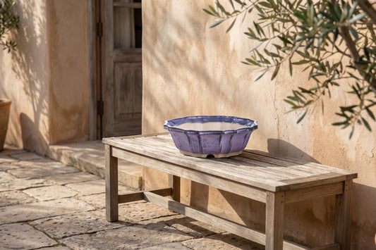 Purple ceramic bonsai pot with decorative scalloped edge, placed on a wooden bench.