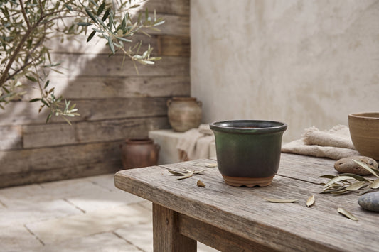 A small, moss-green ceramic bonsai pot with rounded edges sits on a wooden table surrounded by olive leaves and earthen pots in the background.