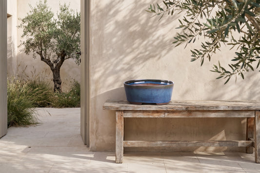 ```json
{ "alt": "An oval ceramic bonsai pot with a peacock-style glaze sits on a rustic wooden bench in a tranquil outdoor setting with olive trees and soft