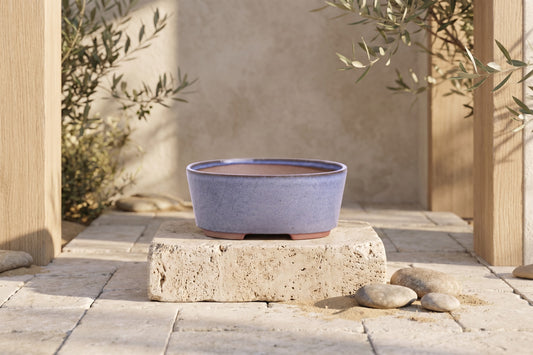 Oval ceramic bonsai pot with a blue glaze, displayed on a stone block outdoors.