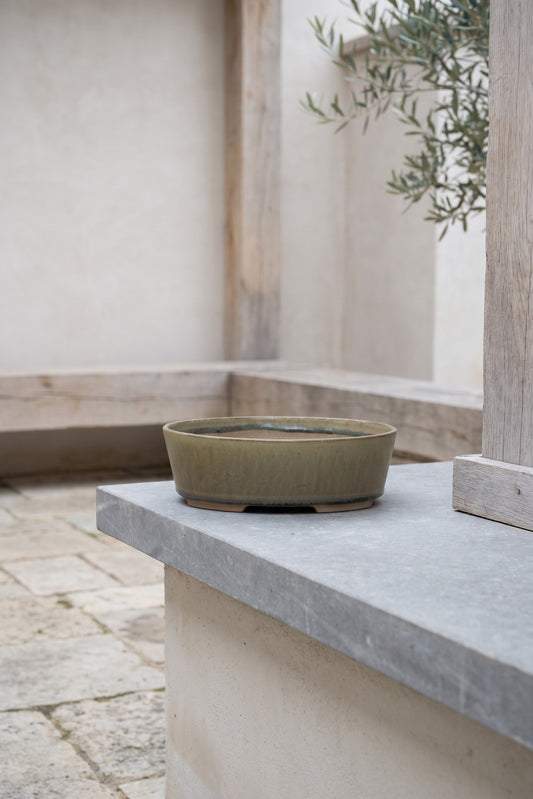 Small oval ceramic pot with a speckled moss finish sitting on a stone ledge in an outdoor setting
