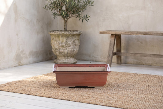 A rectangular ceramic bonsai pot with an orange-brown glaze placed on a jute rug with a potted olive tree and a wooden bench in the background.