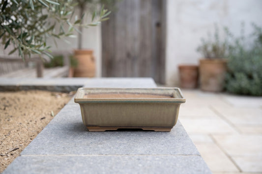 Rectangular ceramic bonsai pot on a stone surface next to an olive branch, showing speckled moss texture and a light earth tone with a matte finish.