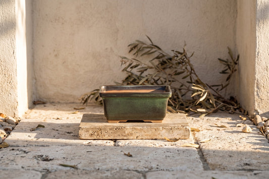 Rectangular ceramic bonsai pot on a limestone plaque, green glazed, 5 inch, Avocado finish.