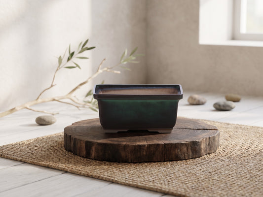 Rectangular ceramic bonsai pot 6 inch Avocado set on a wooden slice on a woven mat in a minimalist setting.