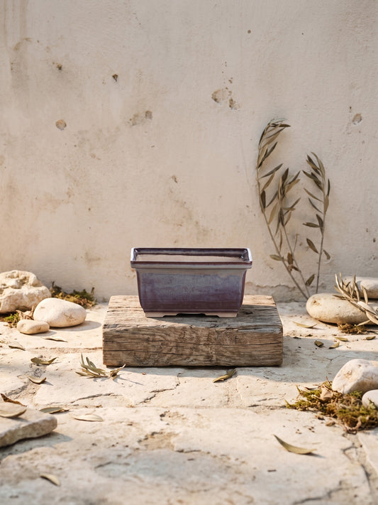 Rectangular ceramic bonsai pot 6 inch Starry Night displayed on a wooden block in front of a weathered wall with stones and dried leaves on the ground.