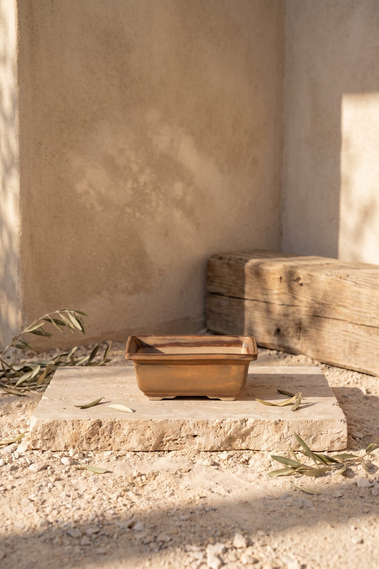 Small square ceramic bonsai pot with slight gradient from light brown to dark brown, placed on a stone slab in a dry, sandy outdoor setting