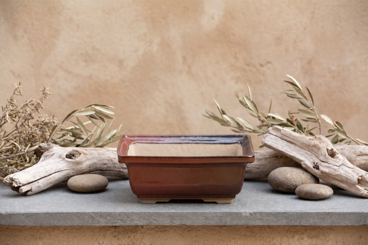 Square ceramic pot, glossy finish, earthy brown, minimalist display with driftwood and rocks