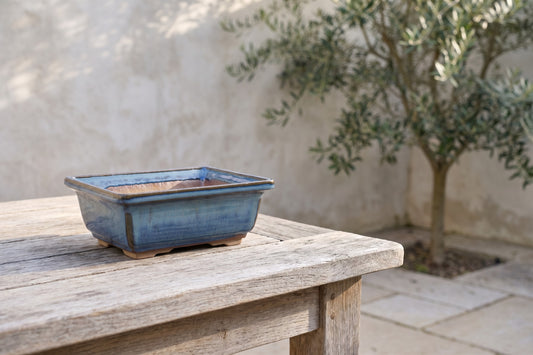 A square ceramic bonsai pot in a blue glaze, placed on a weathered wooden table with an olive tree and a textured wall in the background.
