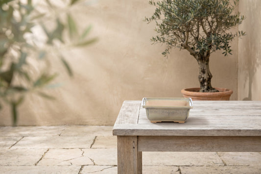 Square ceramic bonsai pot 6 inch Copenhagen on a wooden table with an olive tree in the background