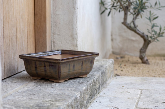 Rectangular ceramic bonsai pot on stone step, dark honey glaze. Miniature tree visible in background.