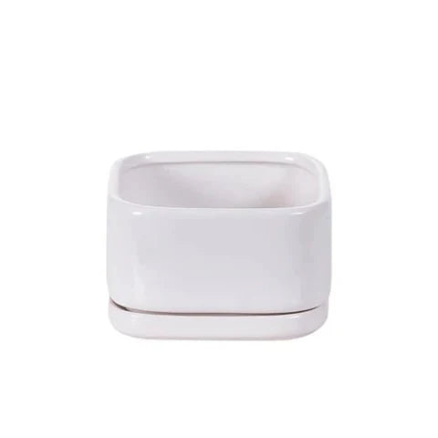 White ceramic planter with smooth finish and square shape